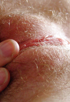 Perky selfshot amateur showing hairy pussy